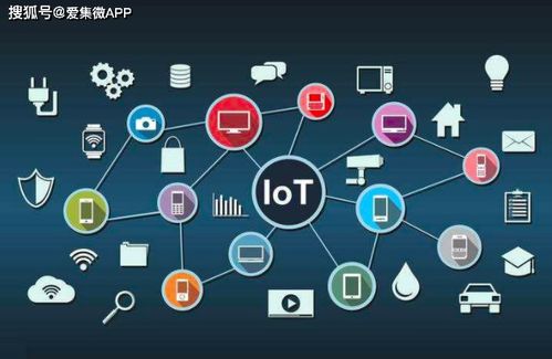 十年飲冰終上位 后浪網紅風口熱戰硝煙起